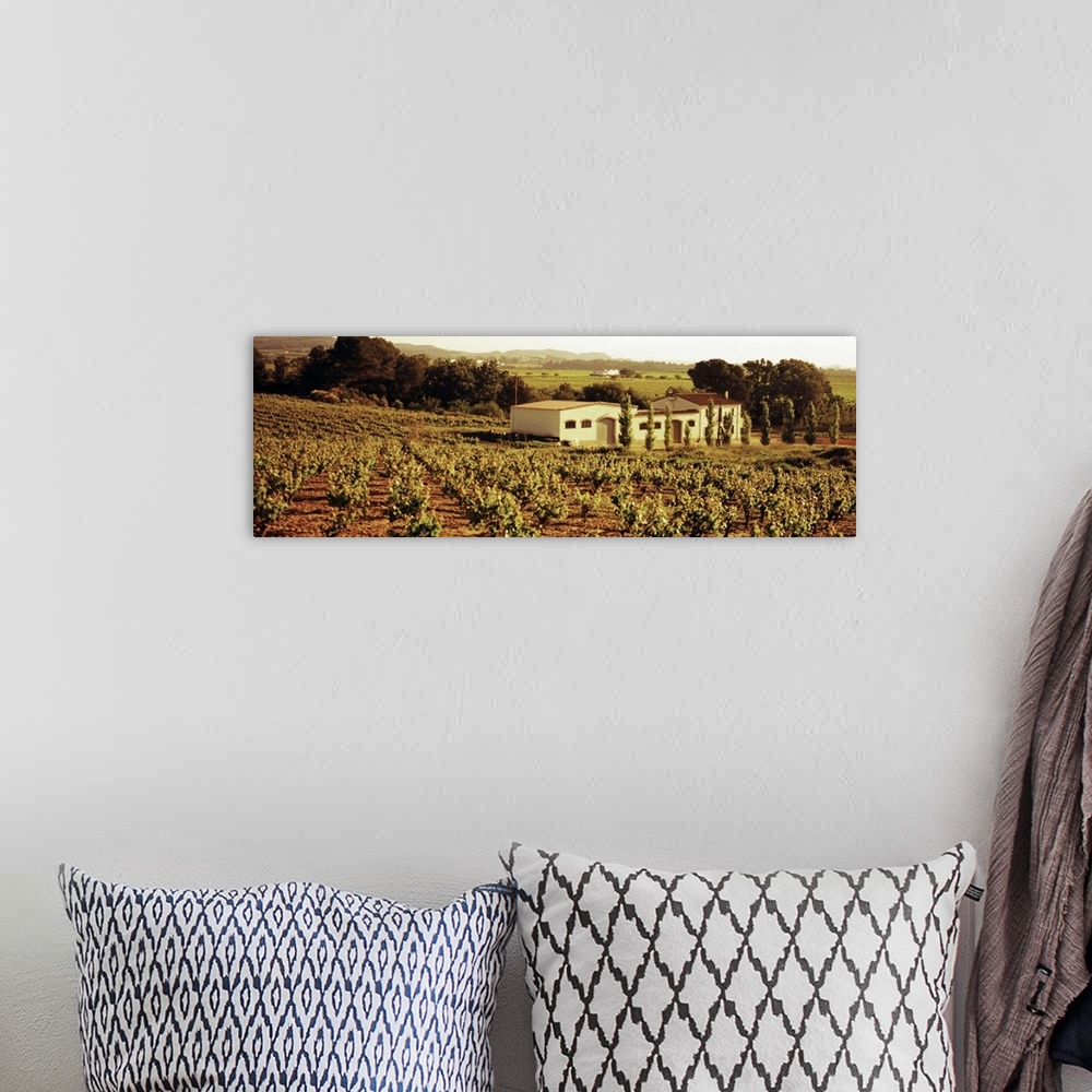 A bohemian room featuring Farmhouses in a vineyard, Penedes, Catalonia, Spain