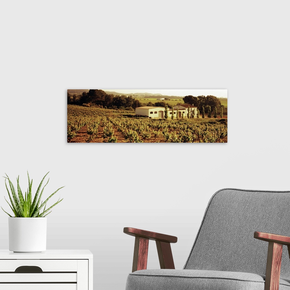 A modern room featuring Farmhouses in a vineyard, Penedes, Catalonia, Spain