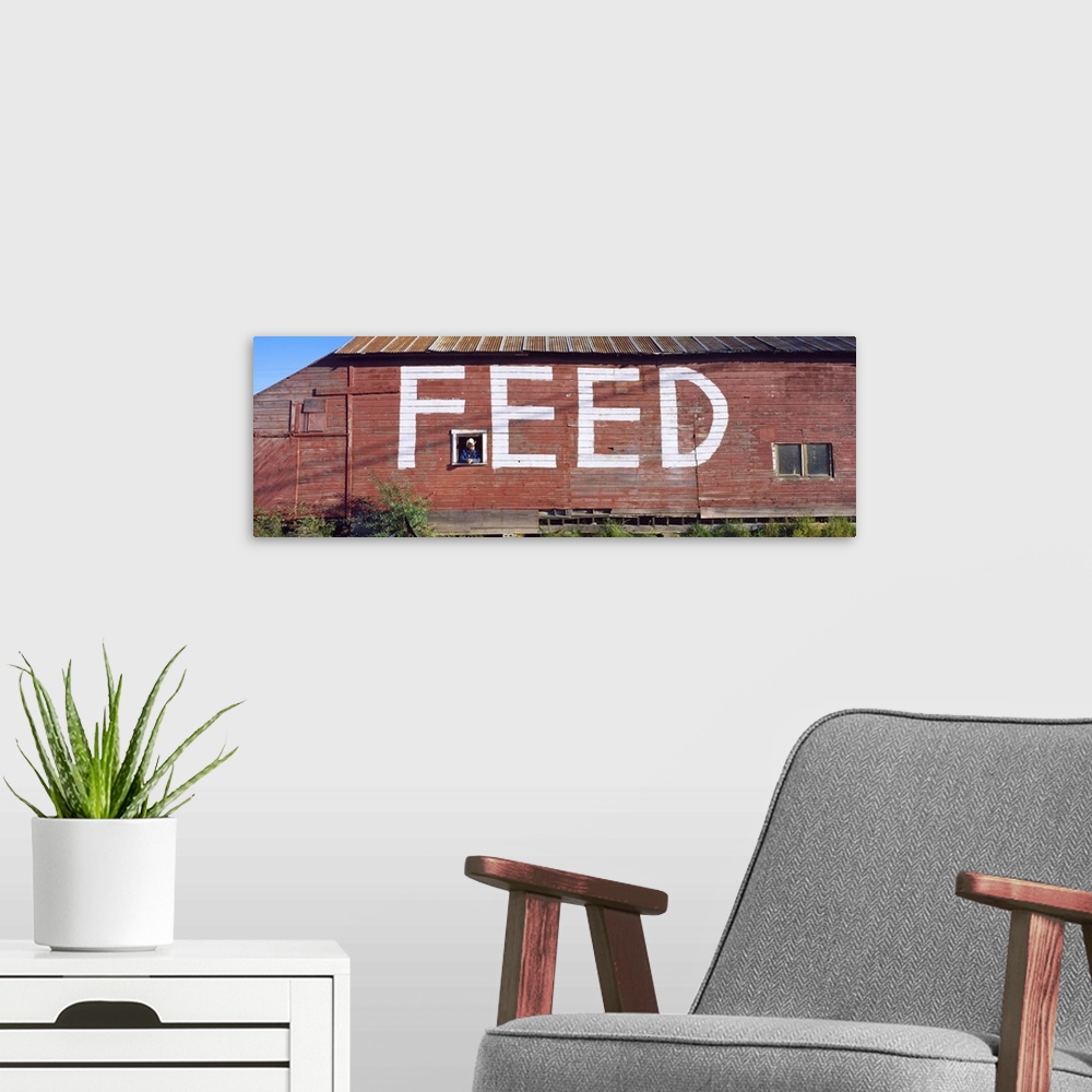 A modern room featuring Feed Store WA
