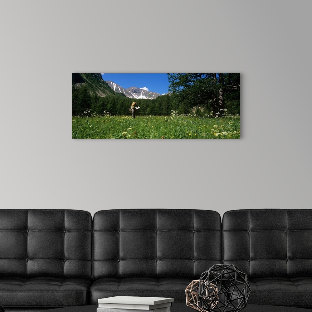 A modern room featuring Female hiker holding a map in the forest, Hinterland, French Riviera, Provence Alpes Cote dAzur, ...