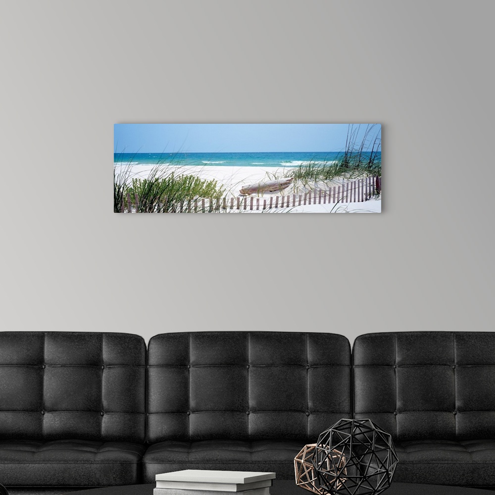 A modern room featuring Panoramic landscape photograph of a fence buried in the dunes on sandy beach on the Gulf Coast.