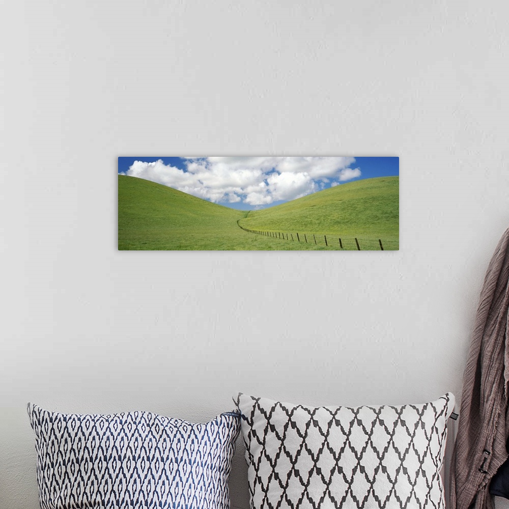 A bohemian room featuring Fence in a field, Livermore Valley AVA, Alameda County, California,