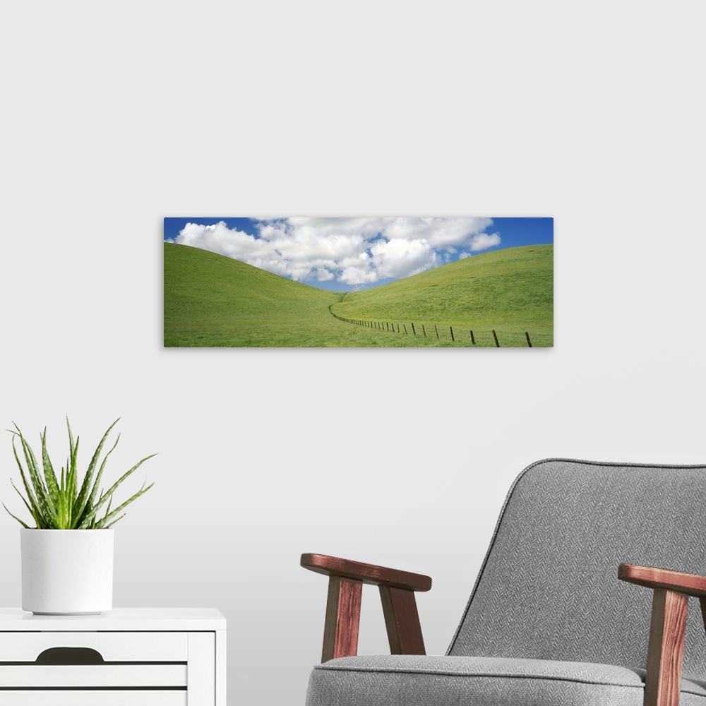 A modern room featuring Fence in a field, Livermore Valley AVA, Alameda County, California,