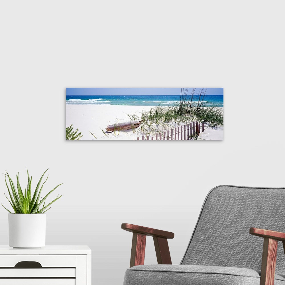 A modern room featuring Oversized landscape photograph of a fence running through grasses on the beach, in front of the r...
