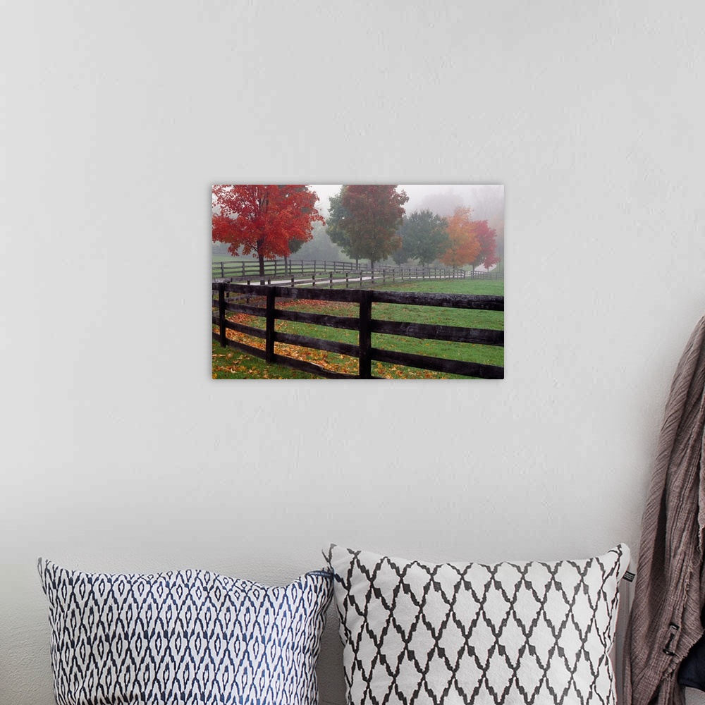 A bohemian room featuring Wall docor of an image of a fence running down a path with bright fall foliage surrounding it.