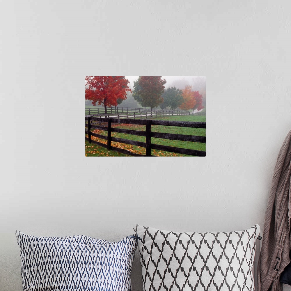 A bohemian room featuring Wall docor of an image of a fence running down a path with bright fall foliage surrounding it.