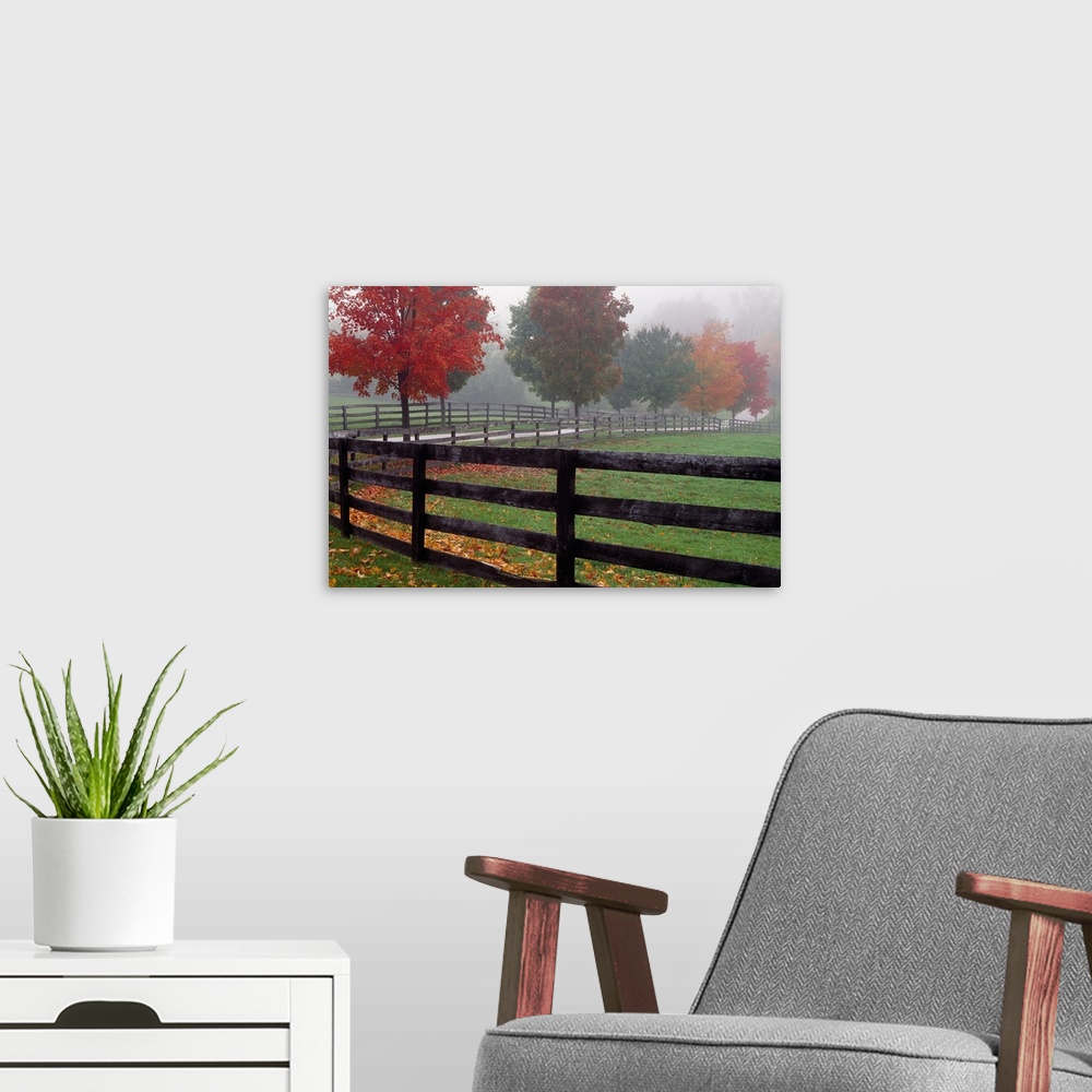 A modern room featuring Wall docor of an image of a fence running down a path with bright fall foliage surrounding it.