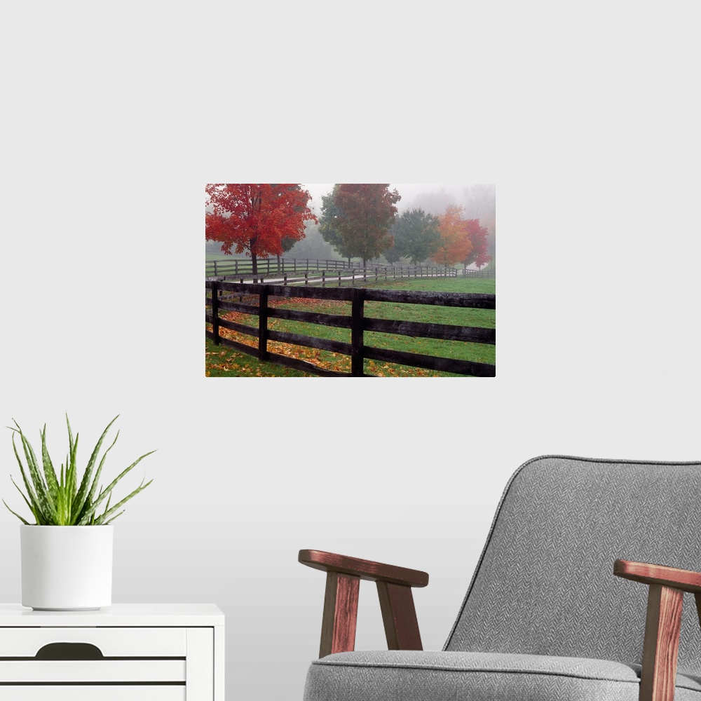 A modern room featuring Wall docor of an image of a fence running down a path with bright fall foliage surrounding it.