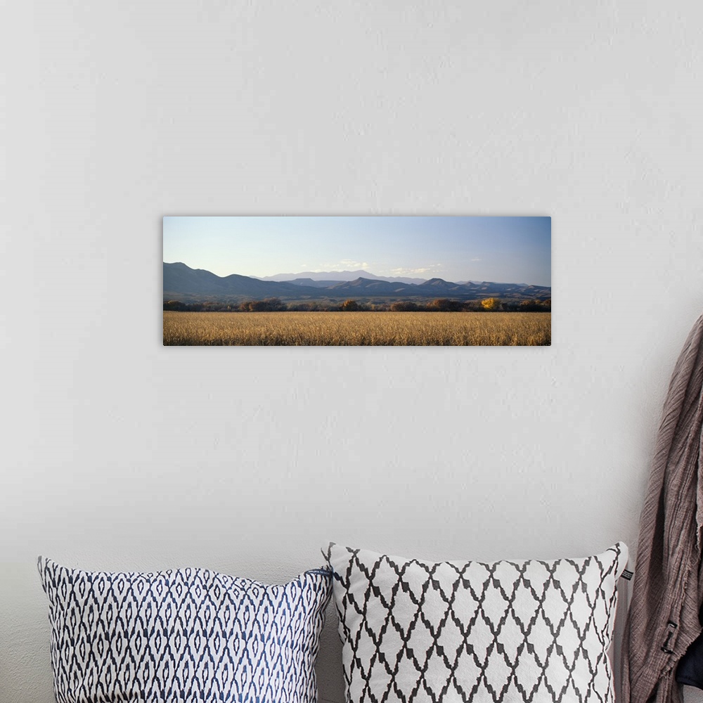 A bohemian room featuring A panoramic landscape of mountains and fields in New Mexico's wildlife refuge Bosque del Apache.