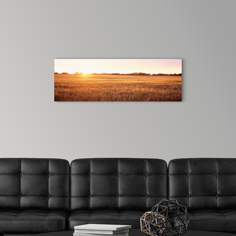 A modern room featuring This wide angle shot is taken of a vast open field as the sun shines brightly dipping below the h...