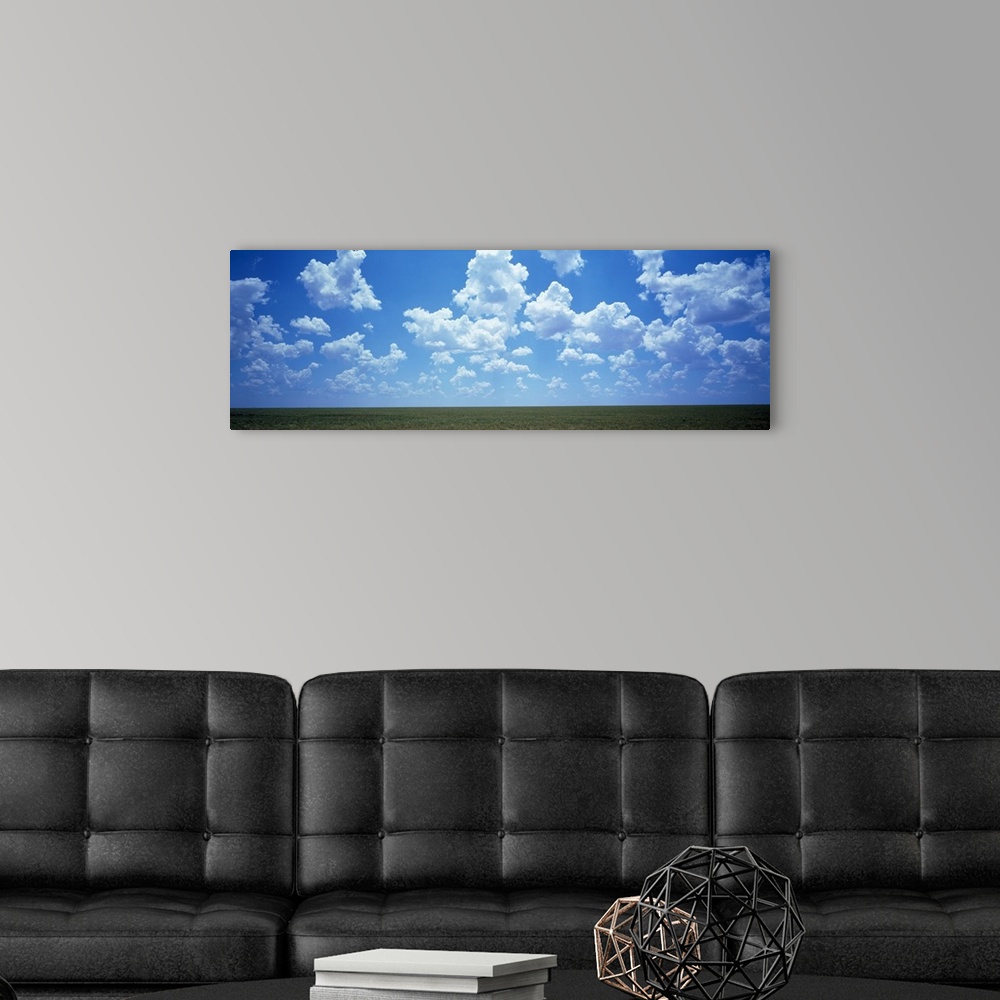 A modern room featuring Field Clouds