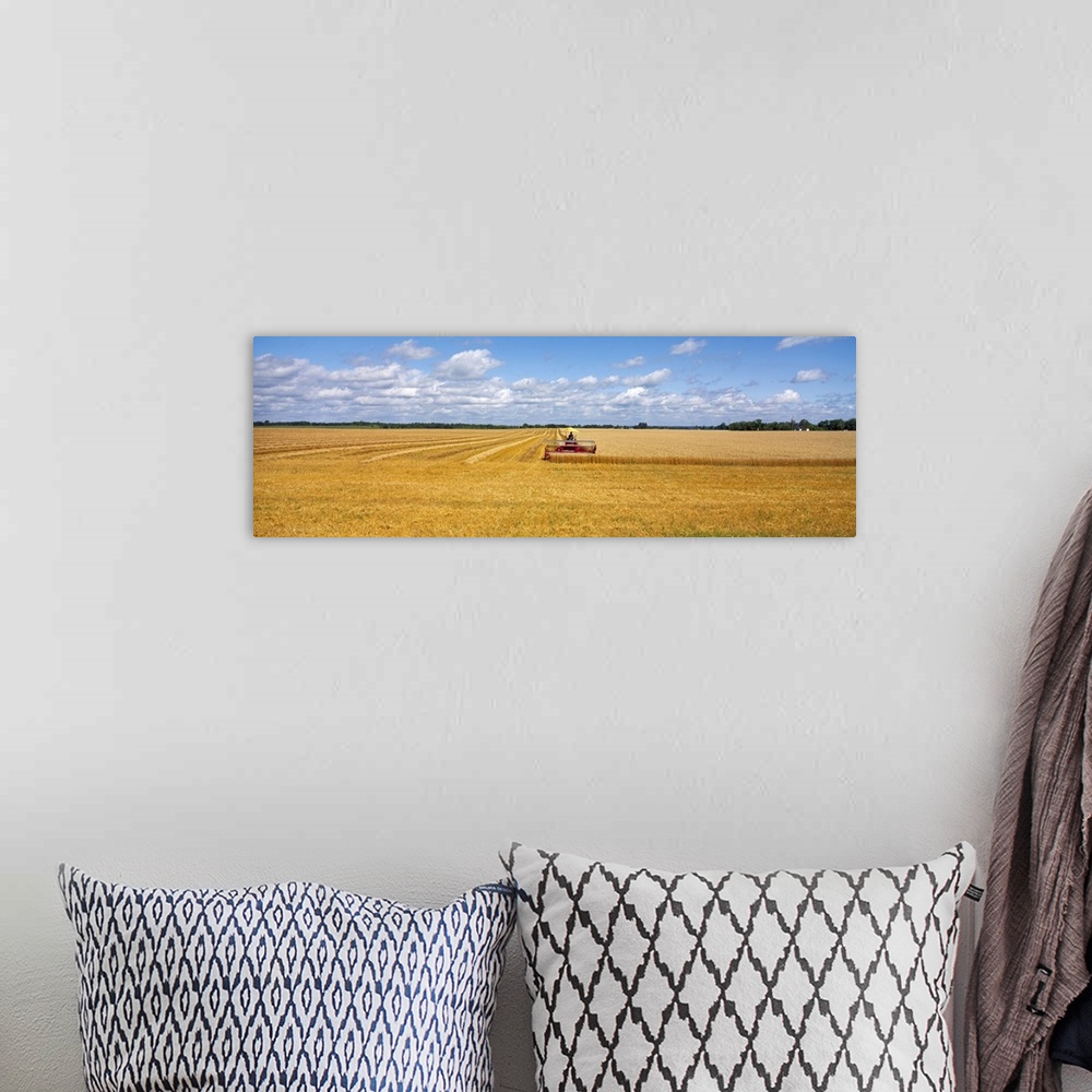 A bohemian room featuring Oversized, landscape photograph of a golden wheat field that is half harvested by a combine in th...