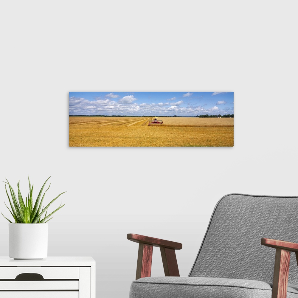 A modern room featuring Oversized, landscape photograph of a golden wheat field that is half harvested by a combine in th...