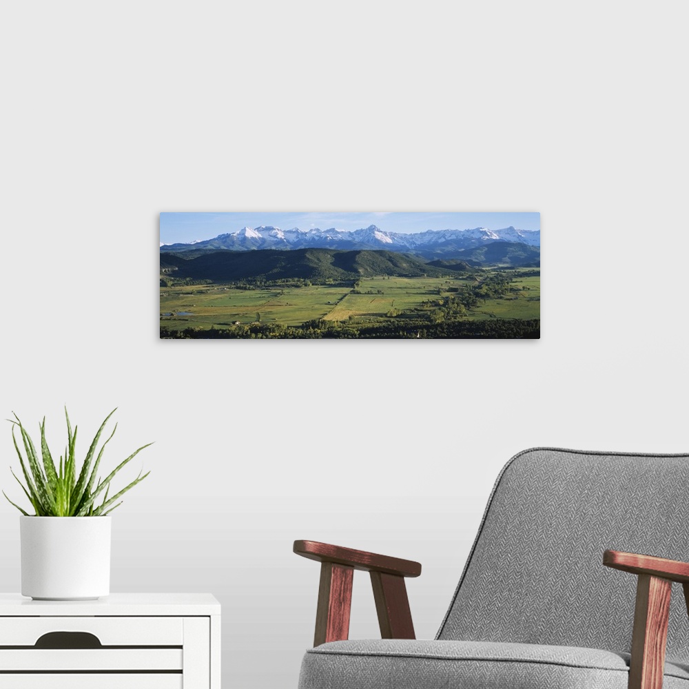 A modern room featuring Field in front of mountains, Sneffels Range, Colorado