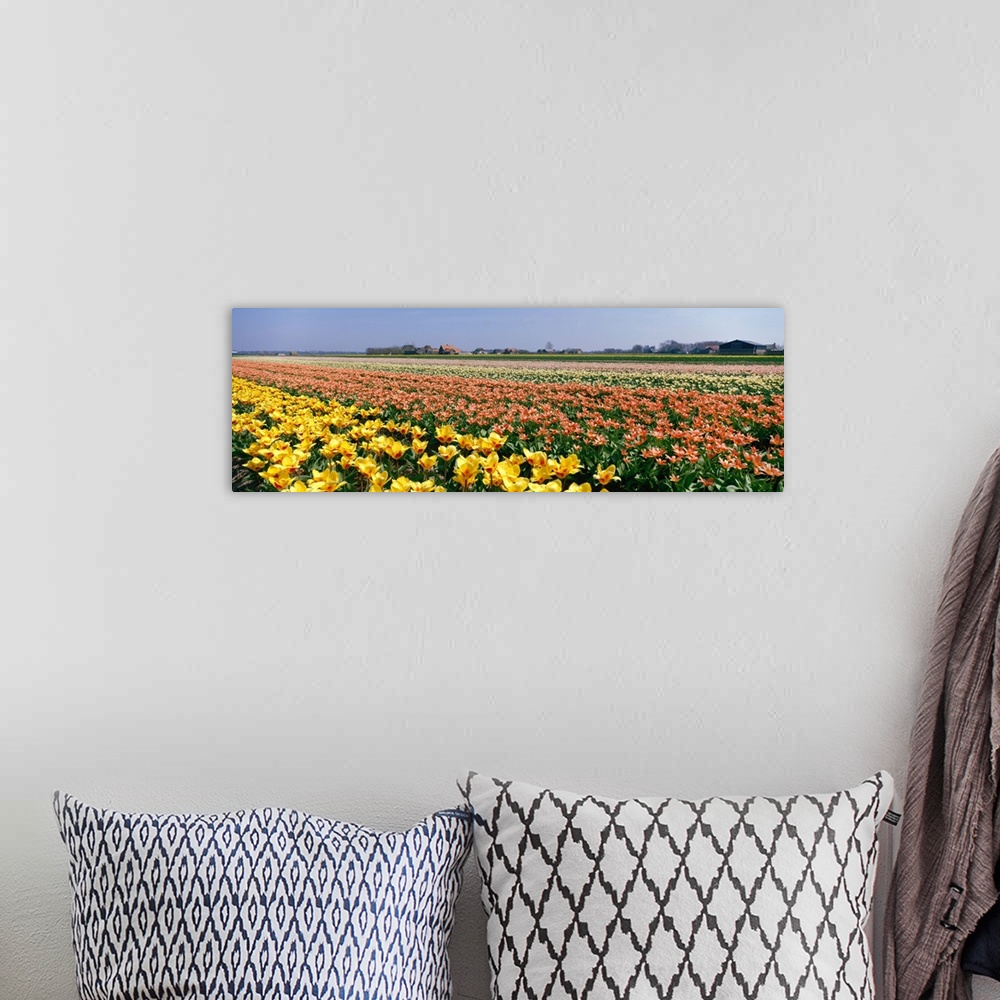 A bohemian room featuring Field of Flowers Egmond Netherlands