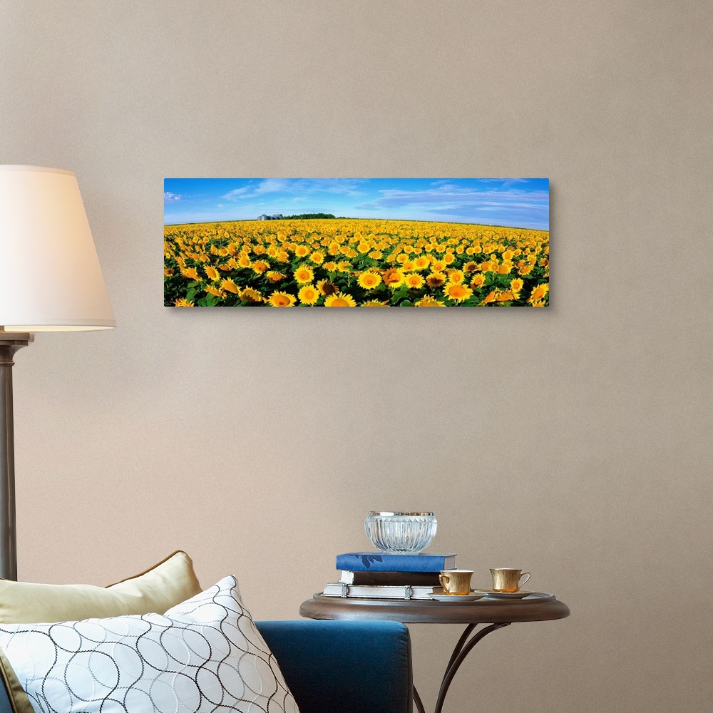 A traditional room featuring This wall art is a wide angle photograph of an endless crop of sunny flowers on panoramic shaped ...