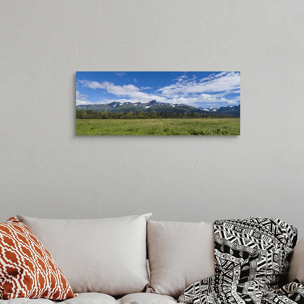 A bohemian room featuring Field with a mountain range in the background, Kenai Peninsula, Seward, Alaska, USA