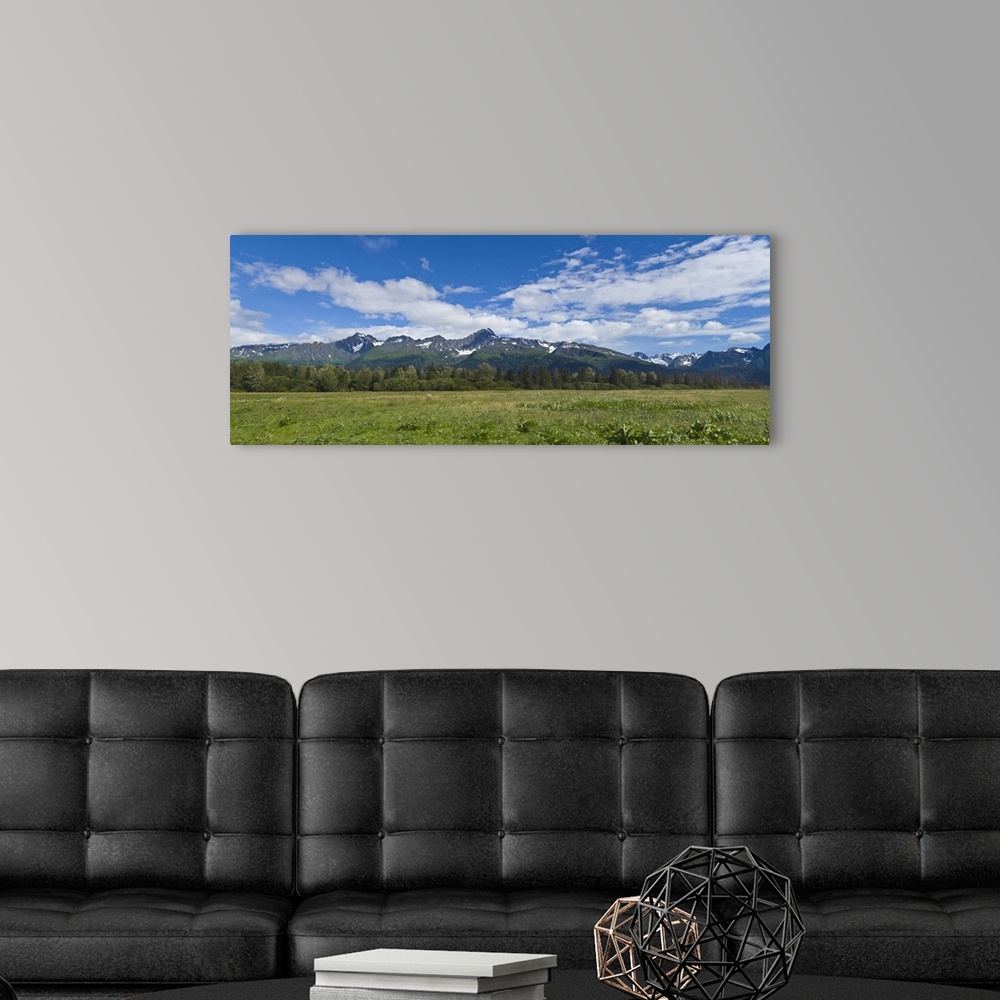 A modern room featuring Field with a mountain range in the background, Kenai Peninsula, Seward, Alaska, USA