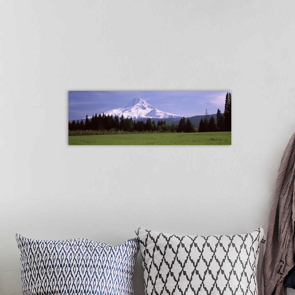 A bohemian room featuring Field with a snowcapped mountain in the background, Mt Hood, Oregon,