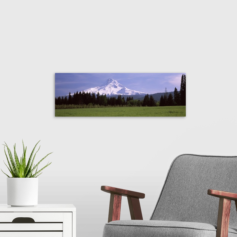 A modern room featuring Field with a snowcapped mountain in the background, Mt Hood, Oregon,