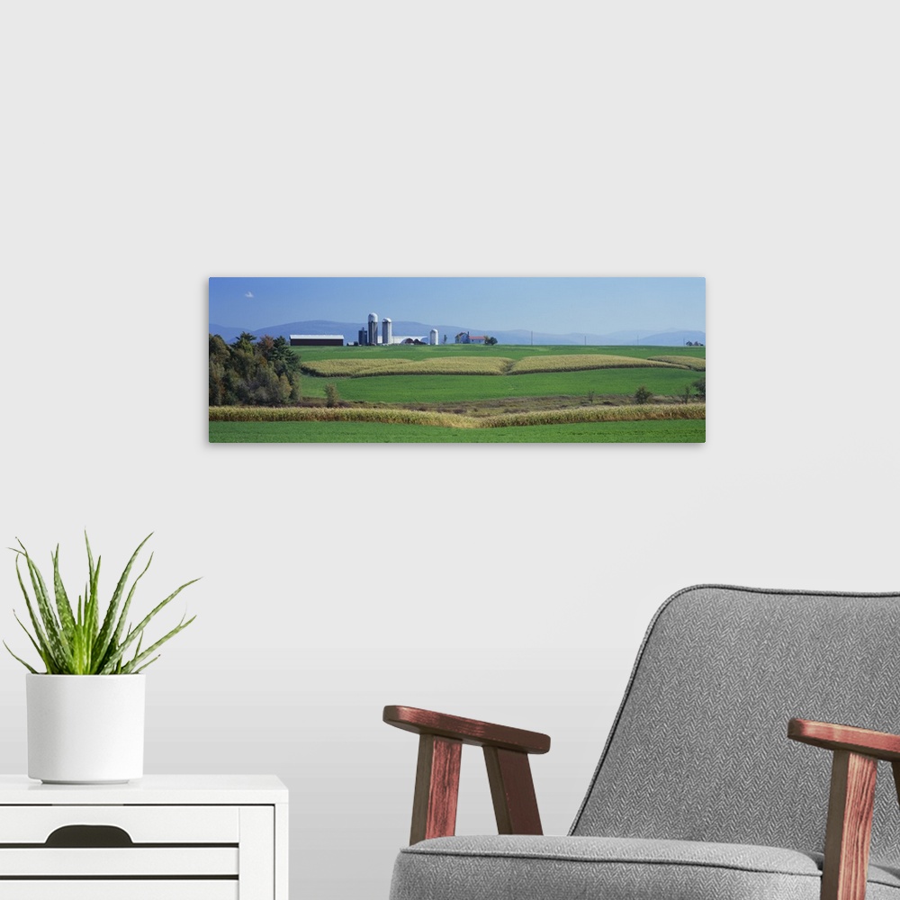 A modern room featuring Fields Of Corn And Alfalfa On A Landscape, Vergennes, Vermont