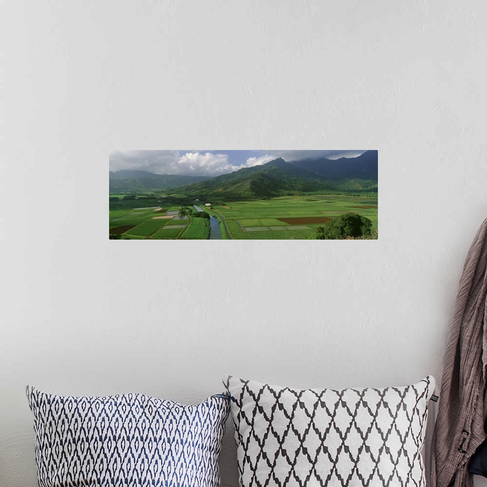 A bohemian room featuring Fields of Taro, Hanalei Valley Overlook, Kauai, Hawaii