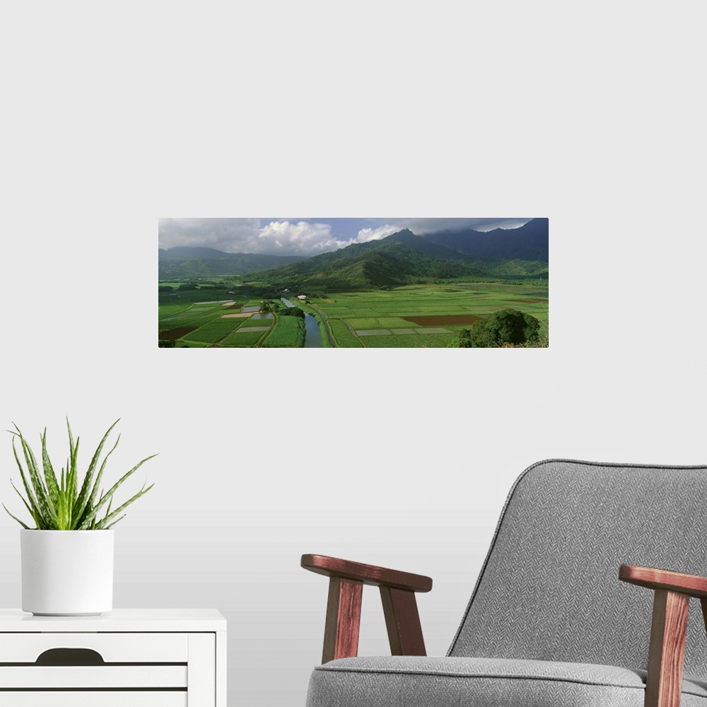 A modern room featuring Fields of Taro, Hanalei Valley Overlook, Kauai, Hawaii