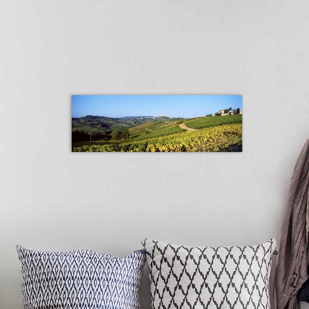 A bohemian room featuring Fields, San Gigimano, Tuscany, Italy