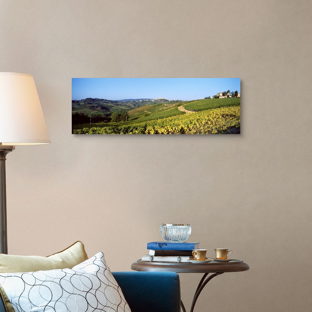A traditional room featuring Fields, San Gigimano, Tuscany, Italy