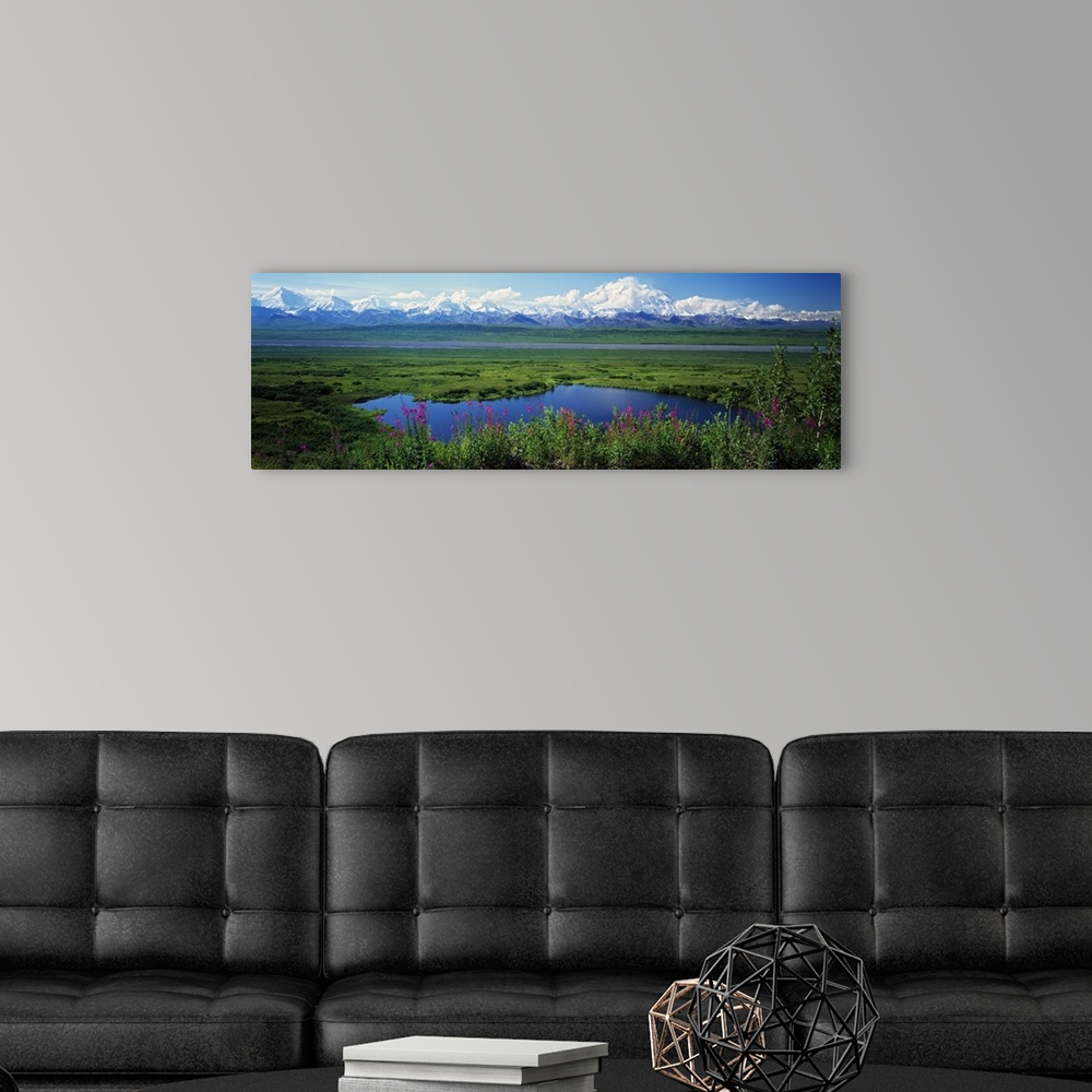 A modern room featuring View of the Alaskan wilderness, with wildflowers in the foreground, small ponds, and a mountain r...