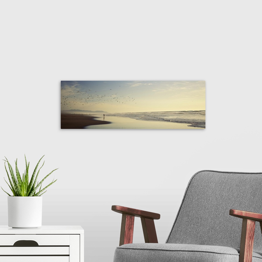 A modern room featuring Flock of seagulls flying above a woman on the beach San Francisco California