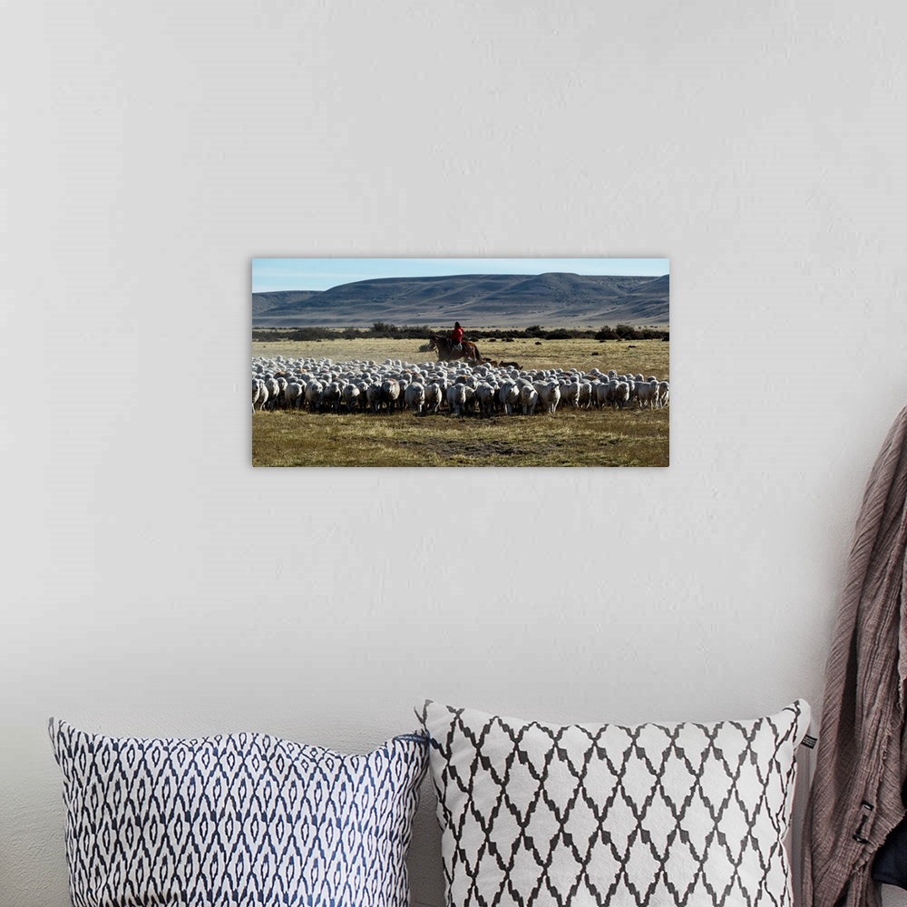 A bohemian room featuring Flock of sheep in a farm, Santa Cruz Province, Patagonia, Argentina