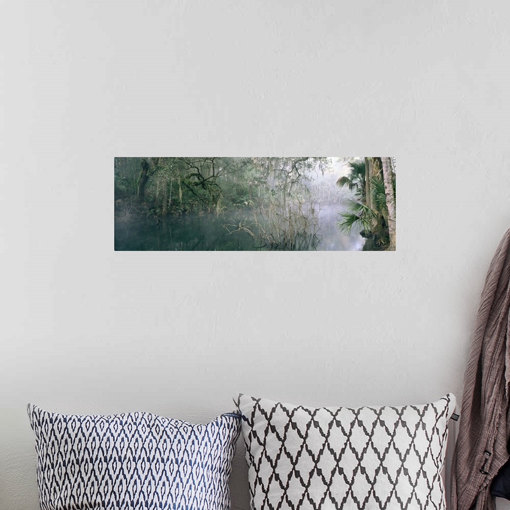 A bohemian room featuring Florida, Blue Springs State Park, View of mist over a lake in the wilderness