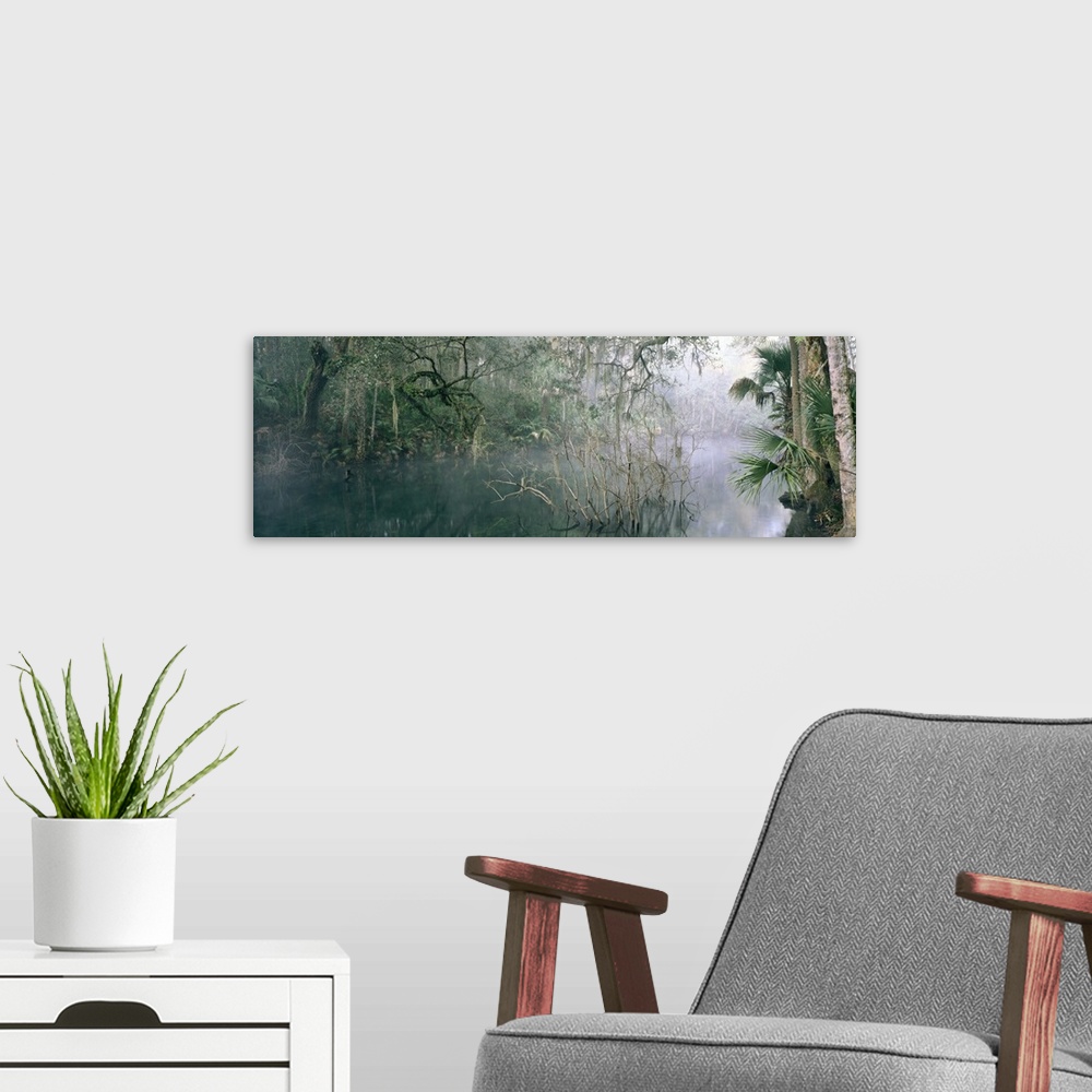 A modern room featuring Florida, Blue Springs State Park, View of mist over a lake in the wilderness