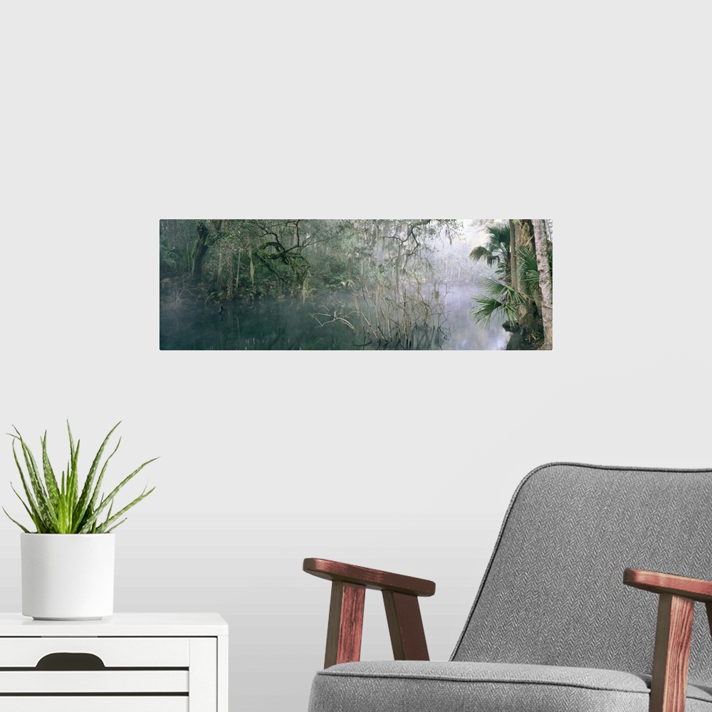 A modern room featuring Florida, Blue Springs State Park, View of mist over a lake in the wilderness