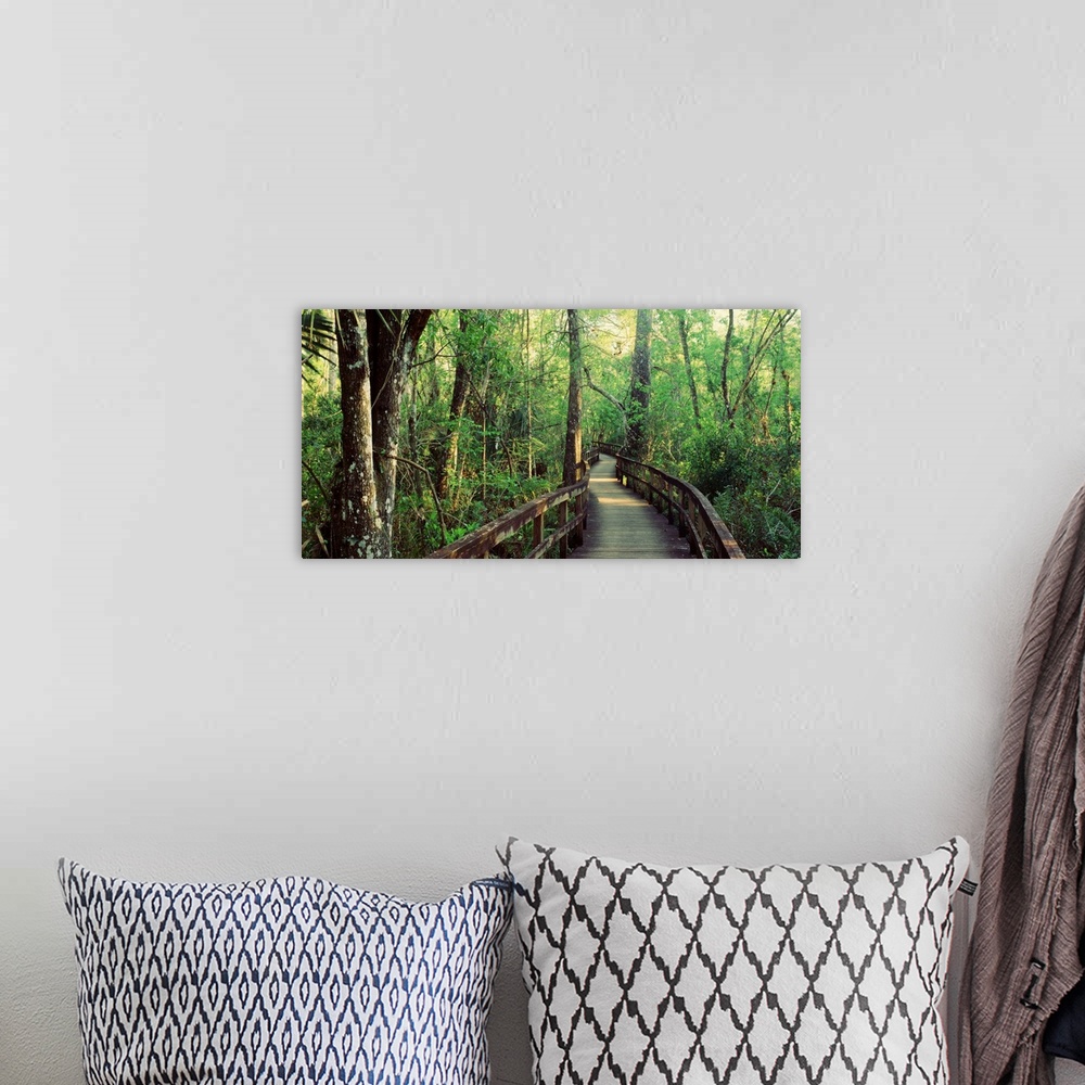 A bohemian room featuring This is an elevated pathway of a hiking trail through the undergrowth of this landscape photograp...