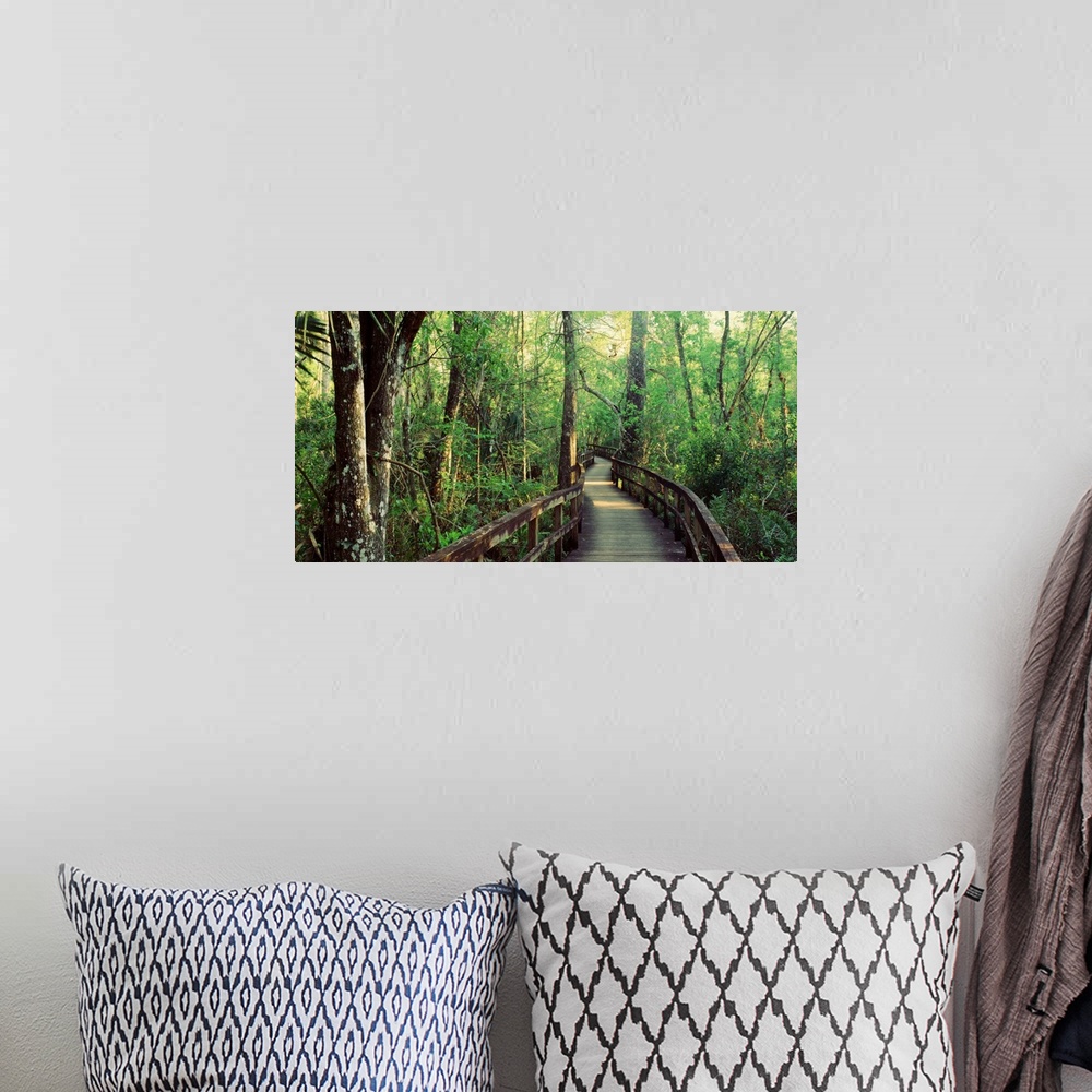 A bohemian room featuring This is an elevated pathway of a hiking trail through the undergrowth of this landscape photograp...