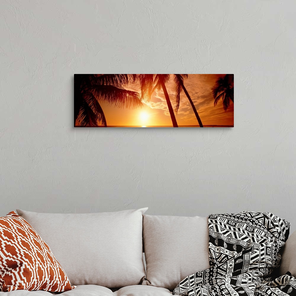 A bohemian room featuring Large panoramic wall photograph of palm trees waving in front of a golden sunset in Fort Meyers, ...