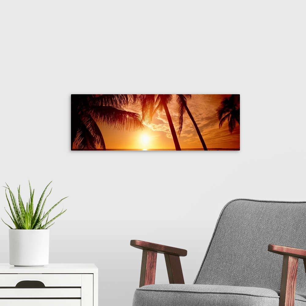 A modern room featuring Large panoramic wall photograph of palm trees waving in front of a golden sunset in Fort Meyers, ...
