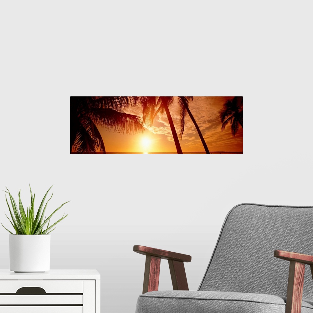 A modern room featuring Large panoramic wall photograph of palm trees waving in front of a golden sunset in Fort Meyers, ...