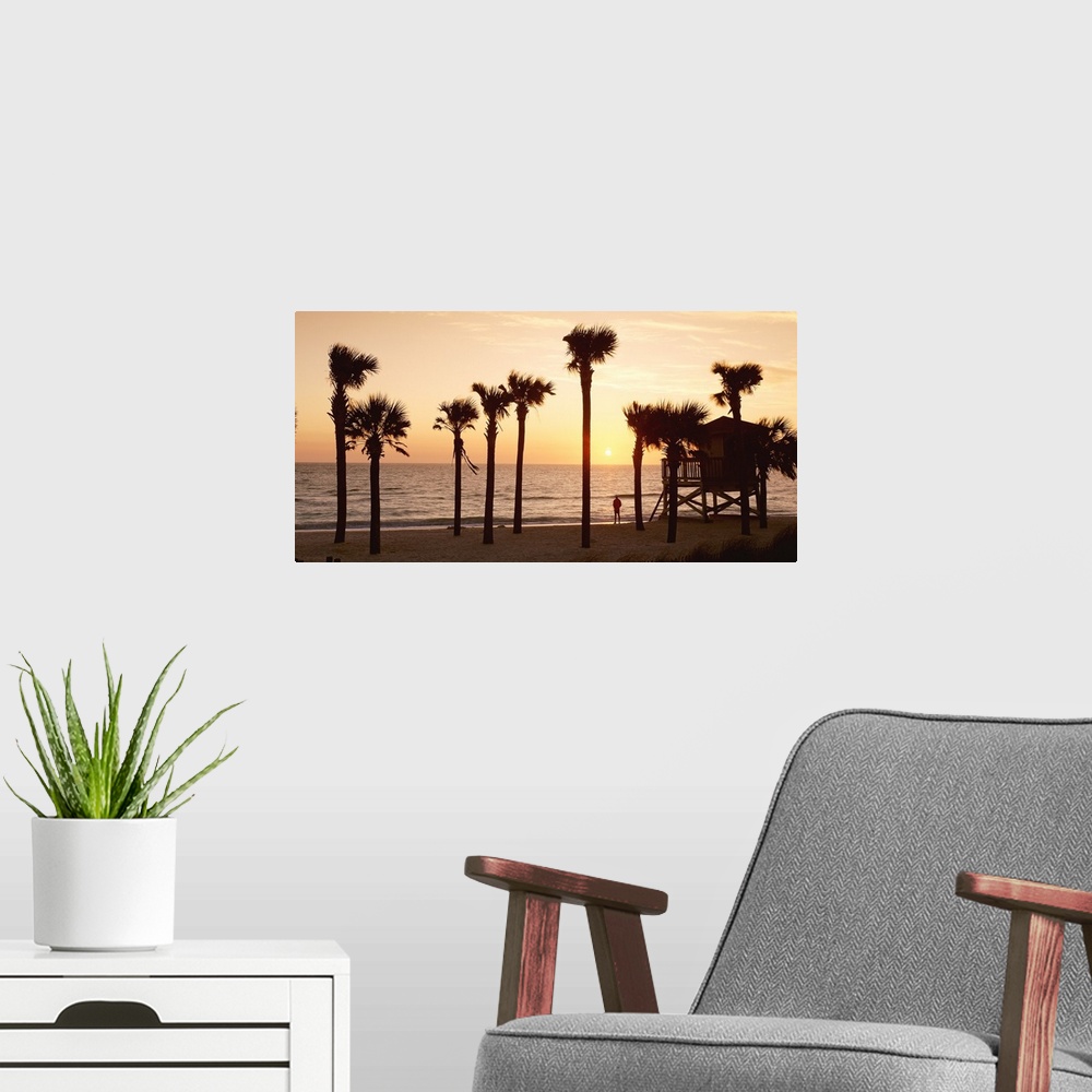 A modern room featuring Panoramic photo of palm trees lining a beach with a man standing on the shore looking out into th...