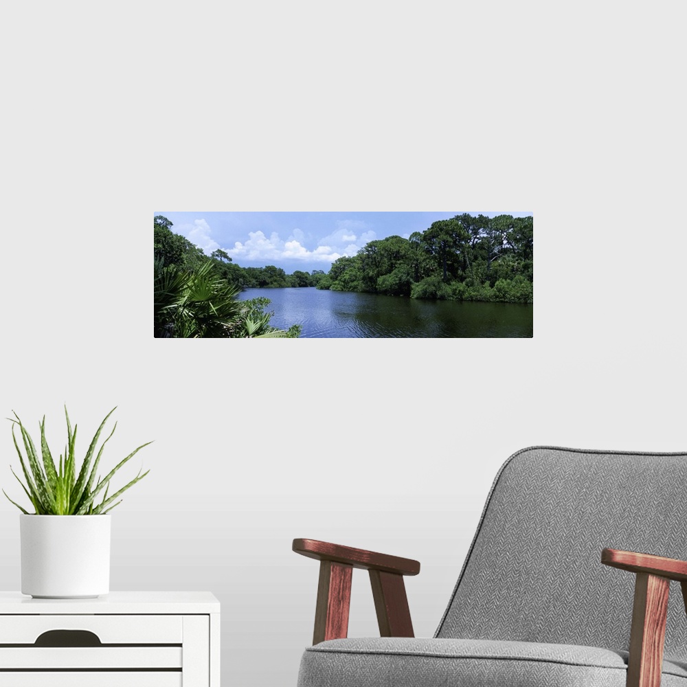 A modern room featuring Florida, Sarasota, Oscar Scherer State Park, River flowing through a forest
