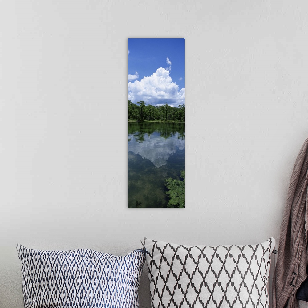 A bohemian room featuring Florida, Wakulla Springs State Park, Reflection of cloud in water