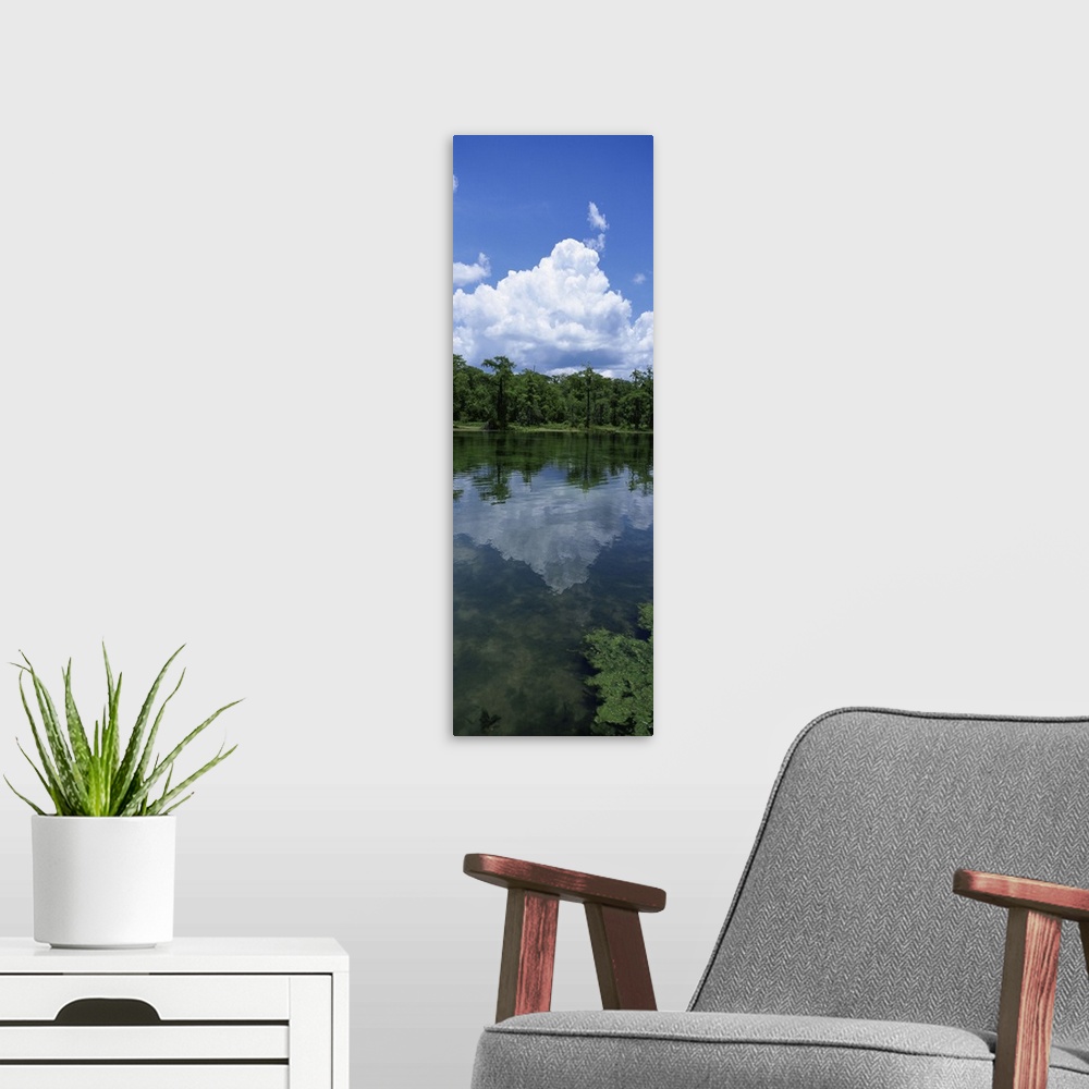 A modern room featuring Florida, Wakulla Springs State Park, Reflection of cloud in water