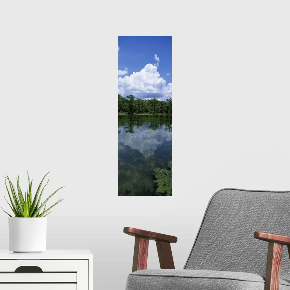 A modern room featuring Florida, Wakulla Springs State Park, Reflection of cloud in water