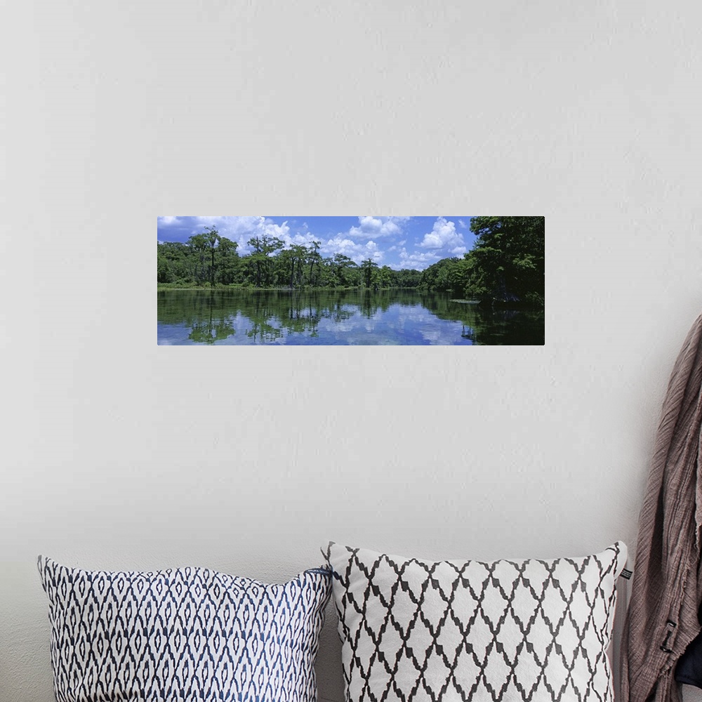 A bohemian room featuring Florida, Wakulla Springs State Park, Reflection of trees and cloud in river