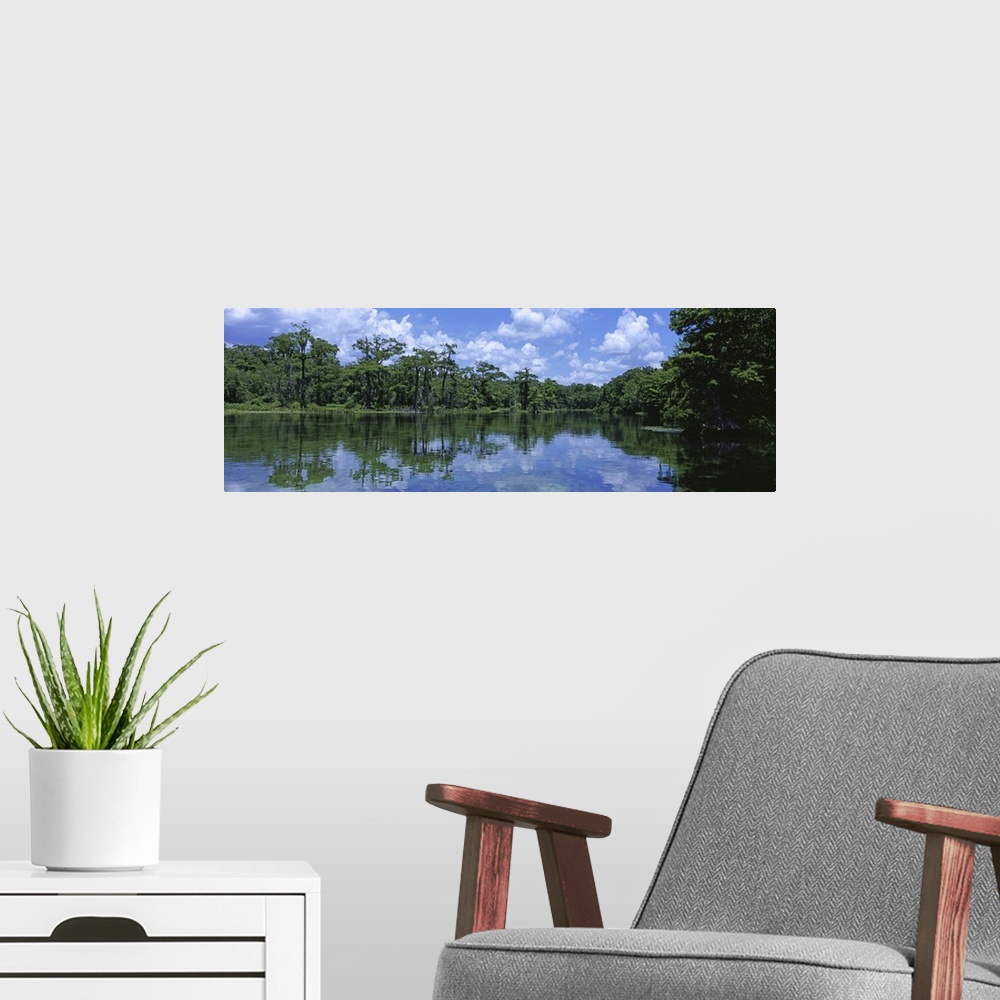 A modern room featuring Florida, Wakulla Springs State Park, Reflection of trees and cloud in river