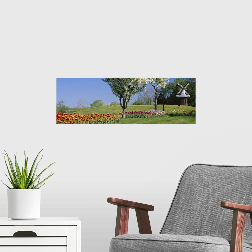 A modern room featuring Various colored tulips and flowering trees are pictured to the left of a small windmill.