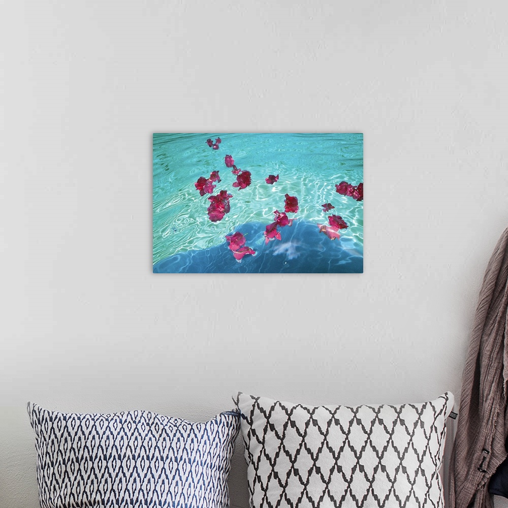 A bohemian room featuring Flowers floating on water