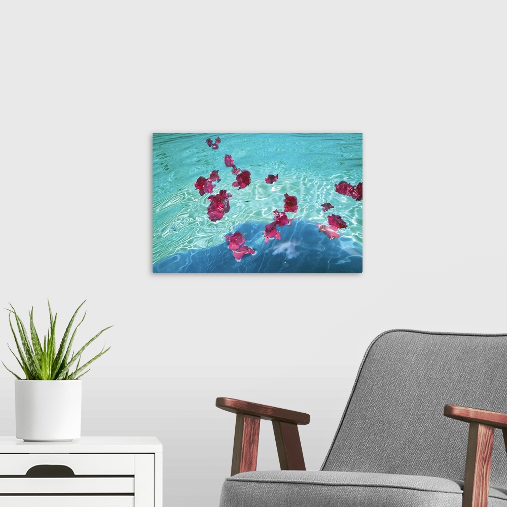 A modern room featuring Flowers floating on water